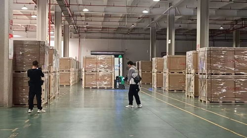 每18秒下線一個光伏組件 揭秘全球光伏行業首座燈塔工廠與碳訪生物基材料技術研發